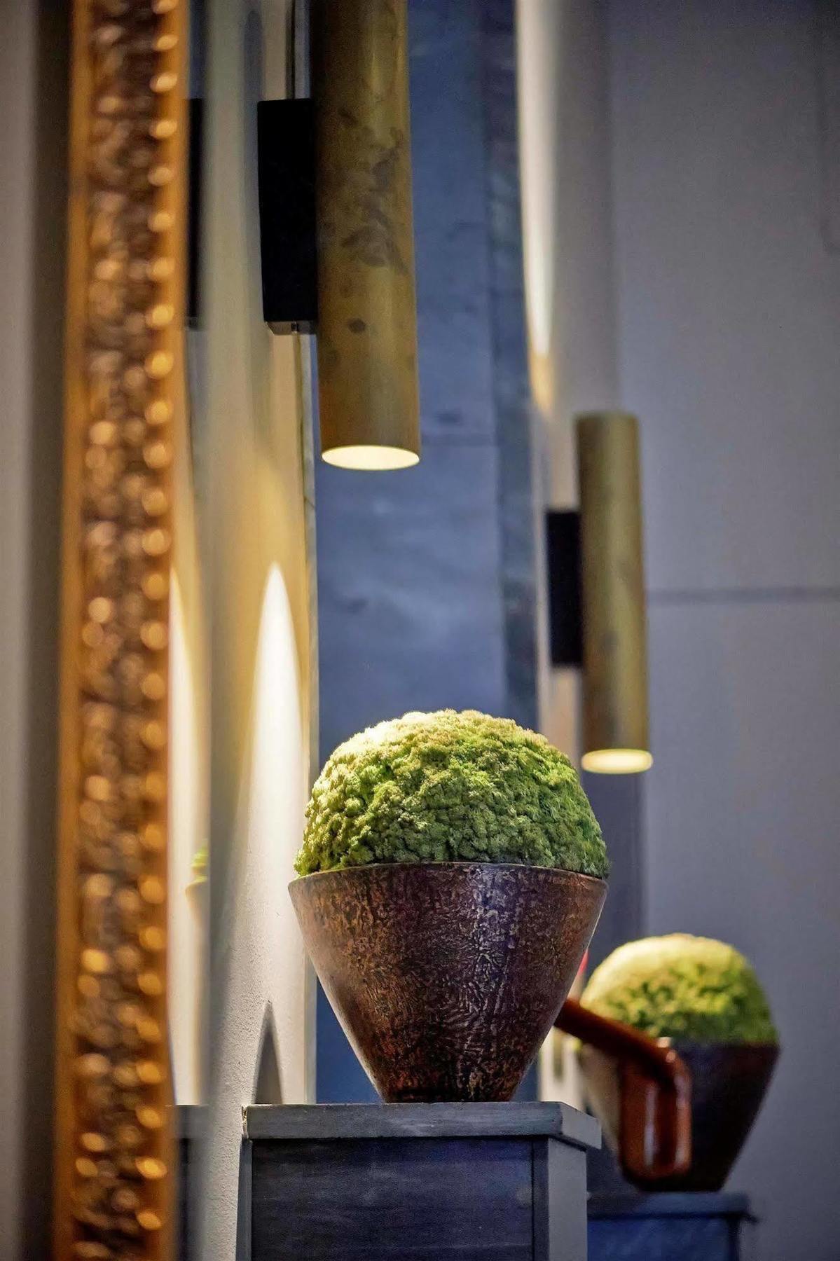 Boutique Seidenhof होटल Zurich